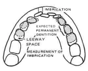 Manual Illustration